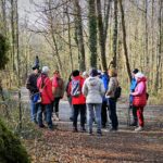 Abgesagt: Ornithologische Exkursion in den Auenwald
