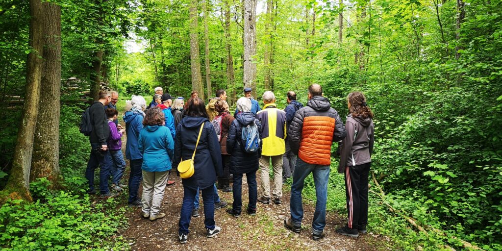 Die Exkursionsteilnehmer auf dem Waldweg im Schachenweg