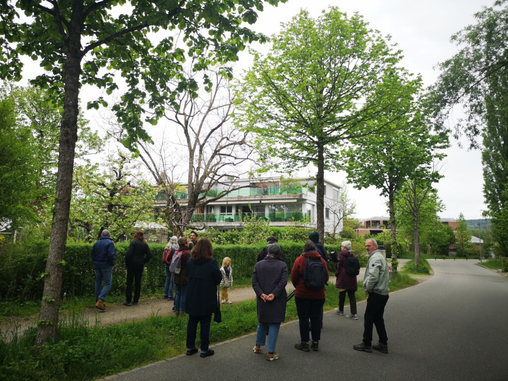 Die Teilnehmenden der Exkursion stehen auf der Quartierstrasse und hören dem Exkursionsleiter zu.