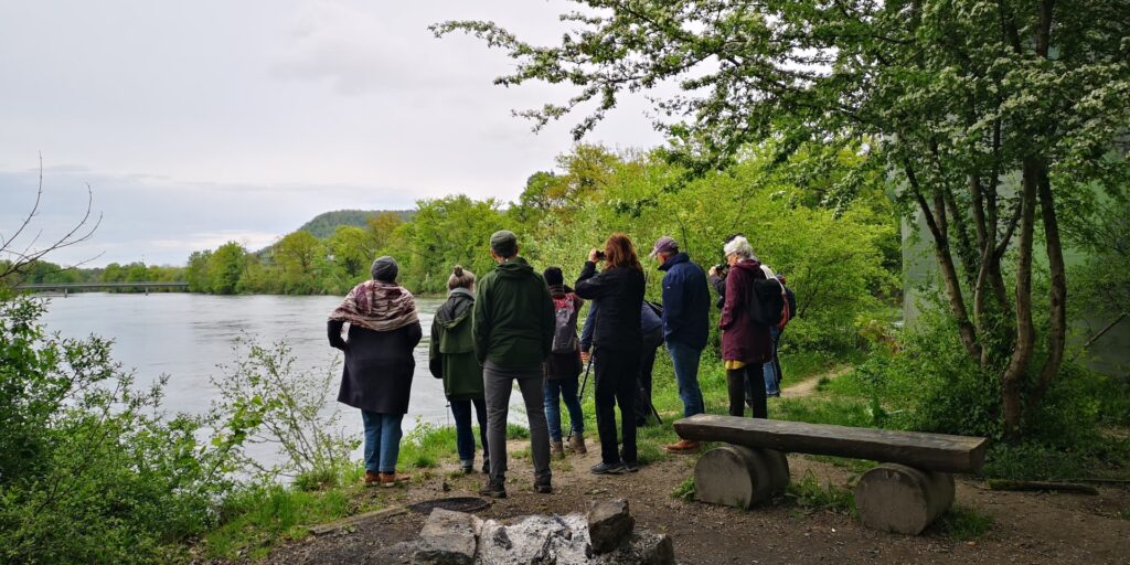 Eine Gruppe von Menschen steht bei der Reussmündung und schaut flussabwärts.